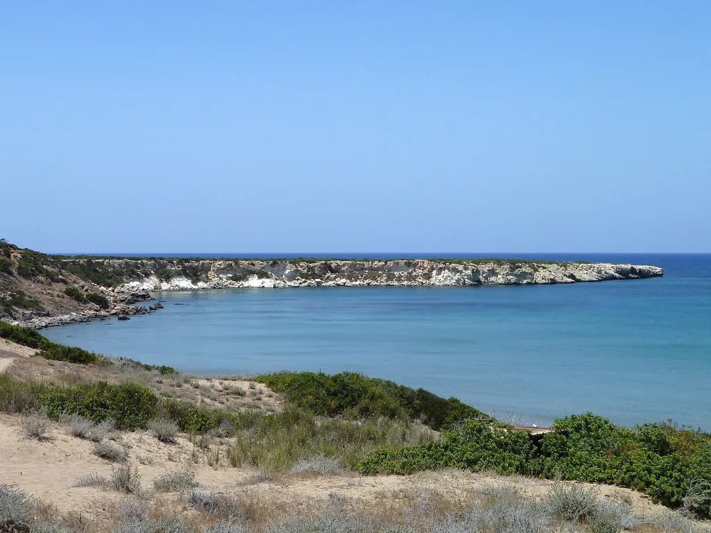 Cyprus Turtles: Where to See Loggerhead and Green Turtles