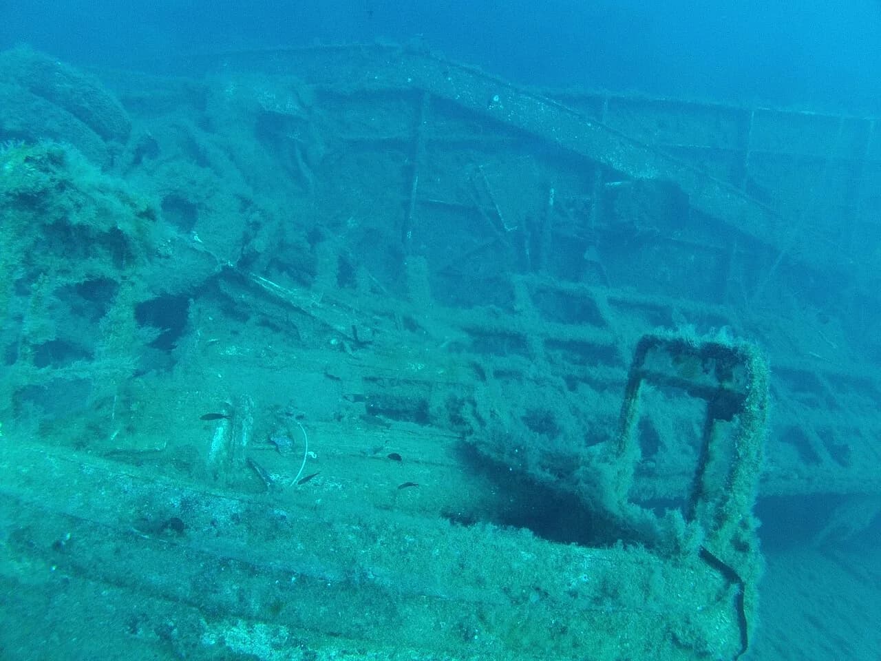 Diving in Cyprus: Wrecks, Reefs and Dive Sites