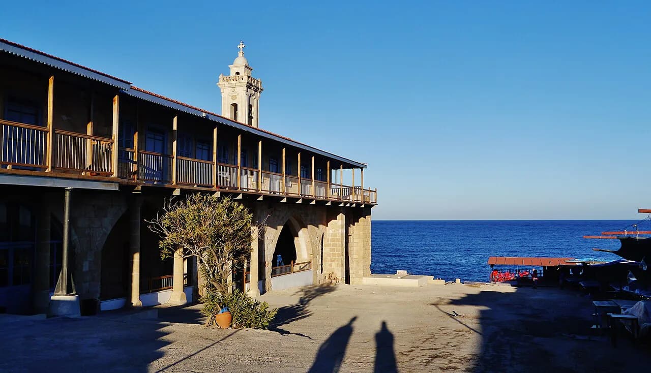 Cyprus Donkeys: Where to See Them on the Karpas Peninsula