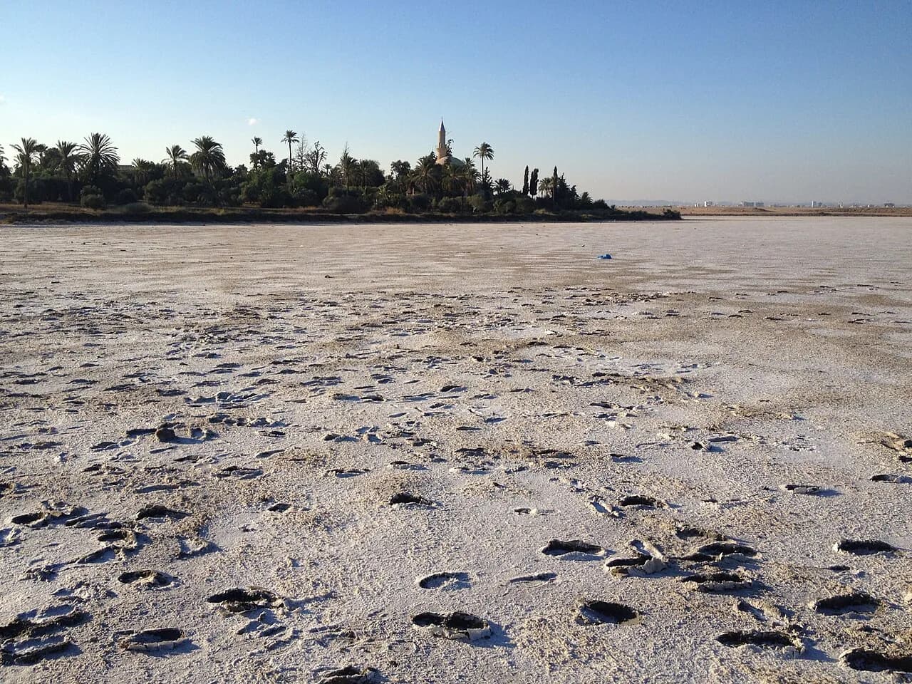 Larnaca Salt Lake: Flamingos, Pink Water and How to Visit