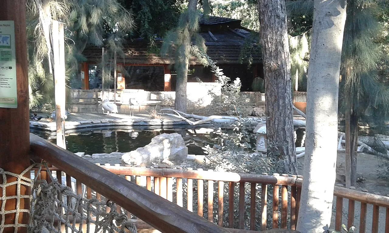 Limassol Zoo: A Practical Visitor Guide