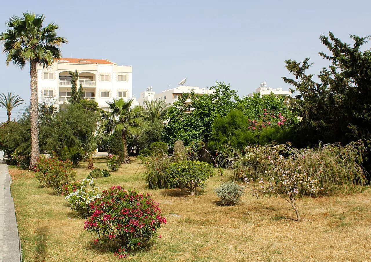 Skala, Larnaca: the district beside the salt lake