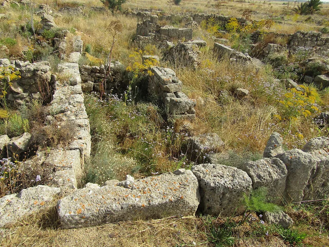 Enkomi Archaeological Site: Cyprus's Bronze Age City Near Famagusta