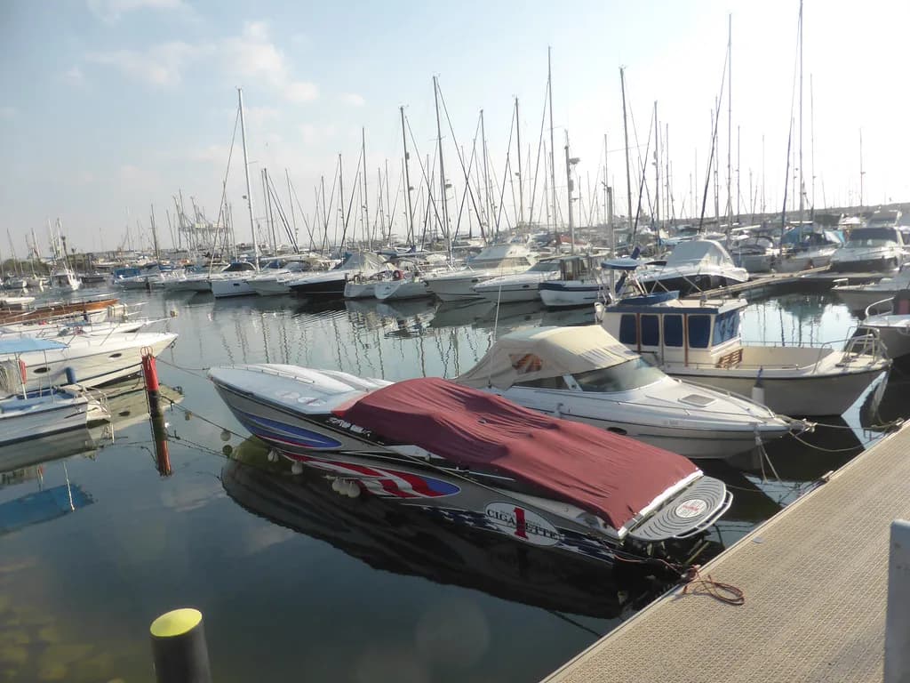 Larnaca Harbour: What's on the Waterfront and How to See It