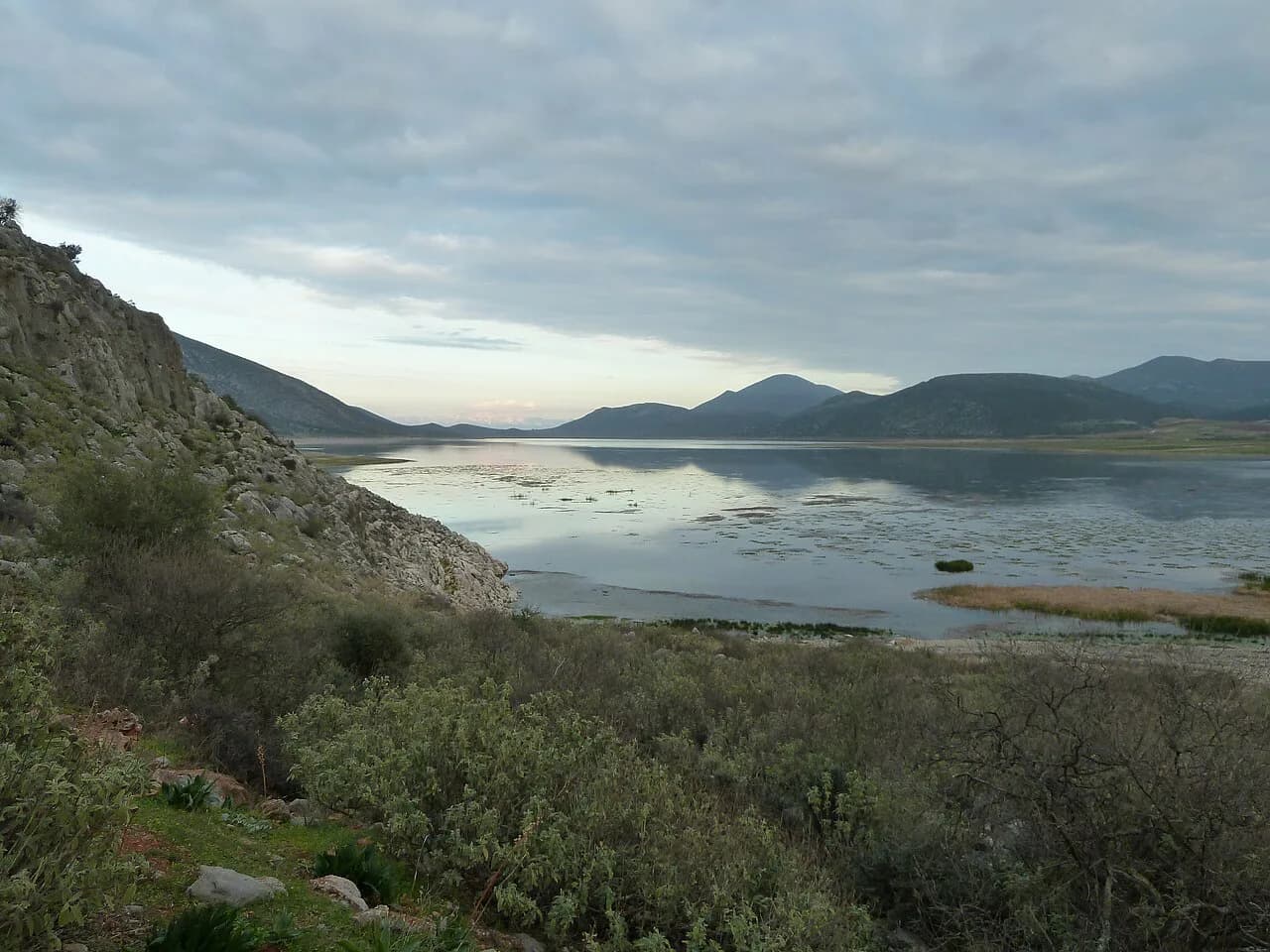 Paralimni Lake: Flamingos, Water Levels and Where to View It