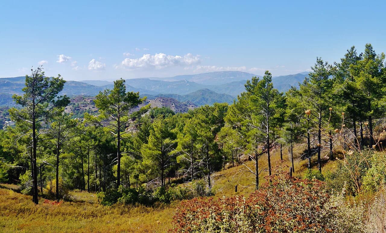 Platres, Cyprus: A Guide to the Troodos Hill Village