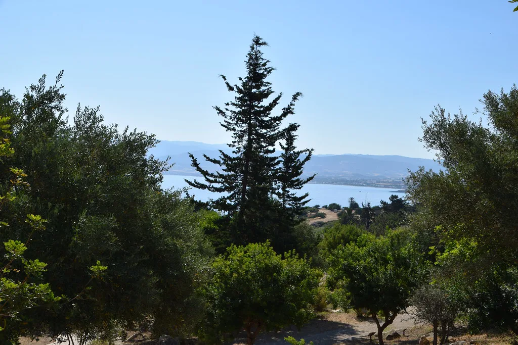 The Baths of Aphrodite area on the Akamas Peninsula.