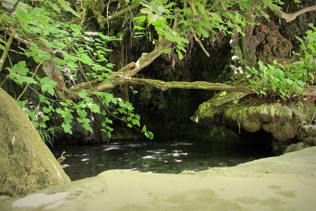 The Baths of Aphrodite pool beneath hanging vegetation.
