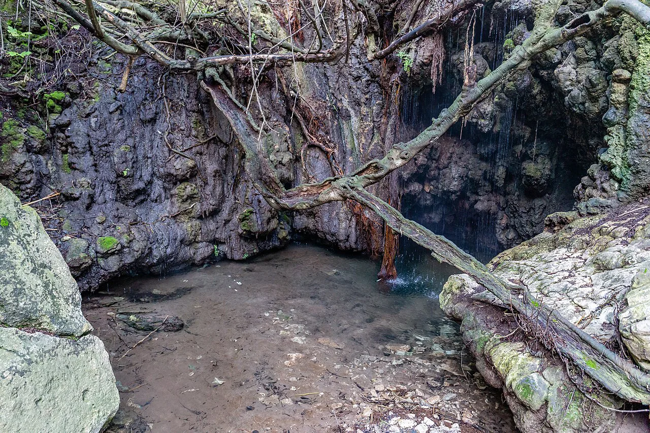 Grotto at the Baths of Aphrodite, Akamas Peninsula.