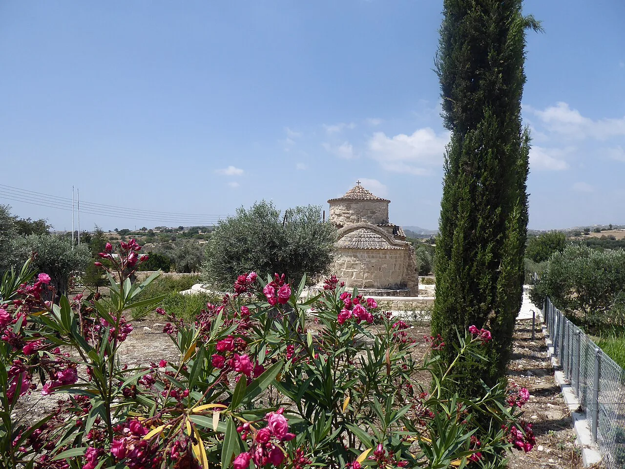 Panagia tou Kampou among flowers, Choirokoitia.
