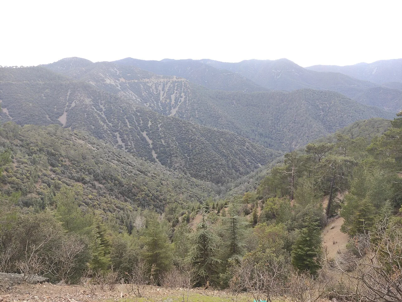 Mountain view beside the Troodos road.