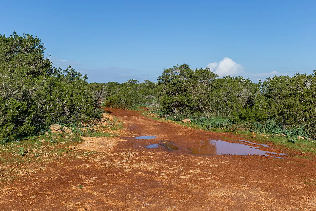 Road on the Akamas Peninsula.