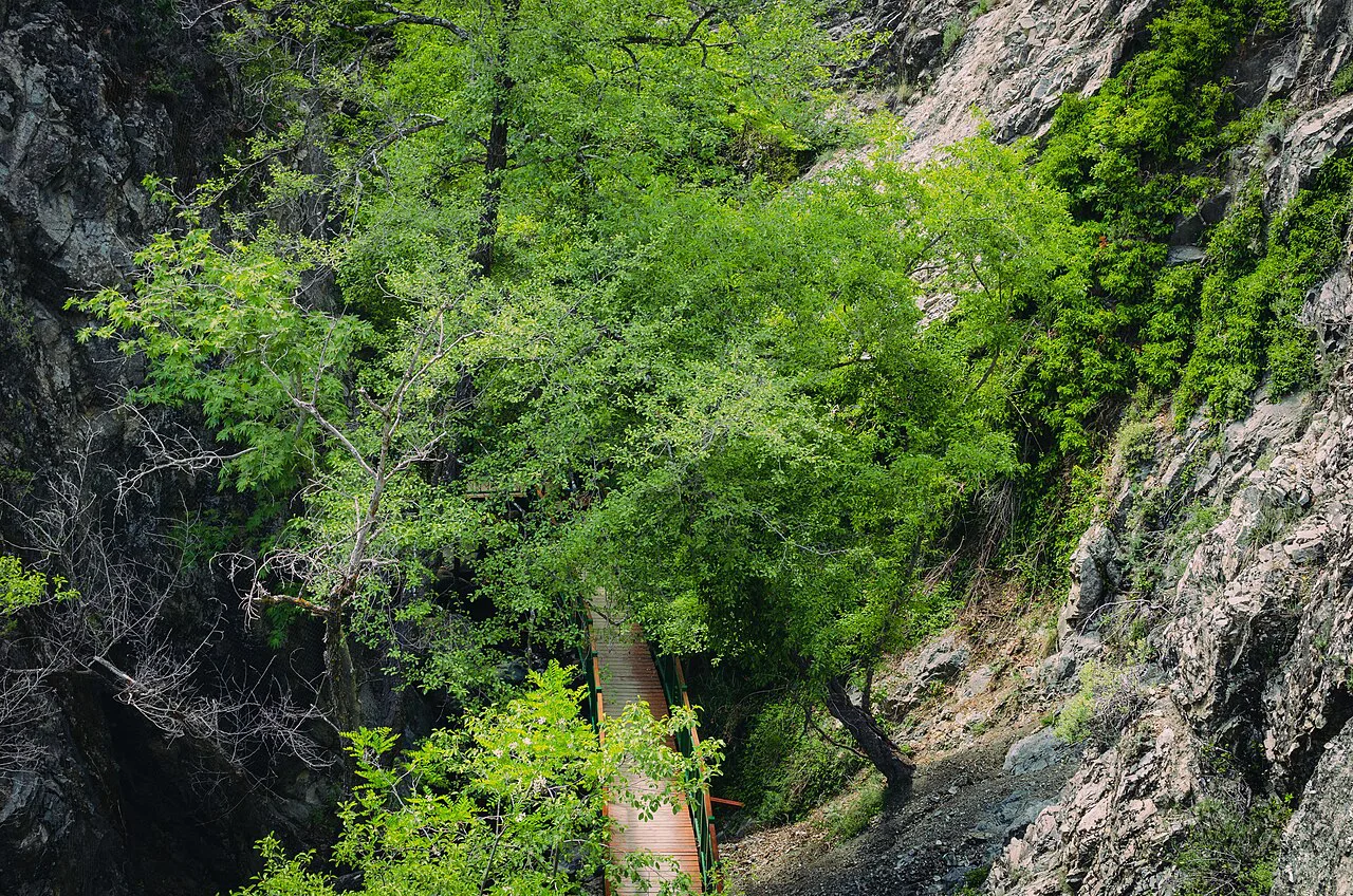 Millomeris Waterfall bridge.