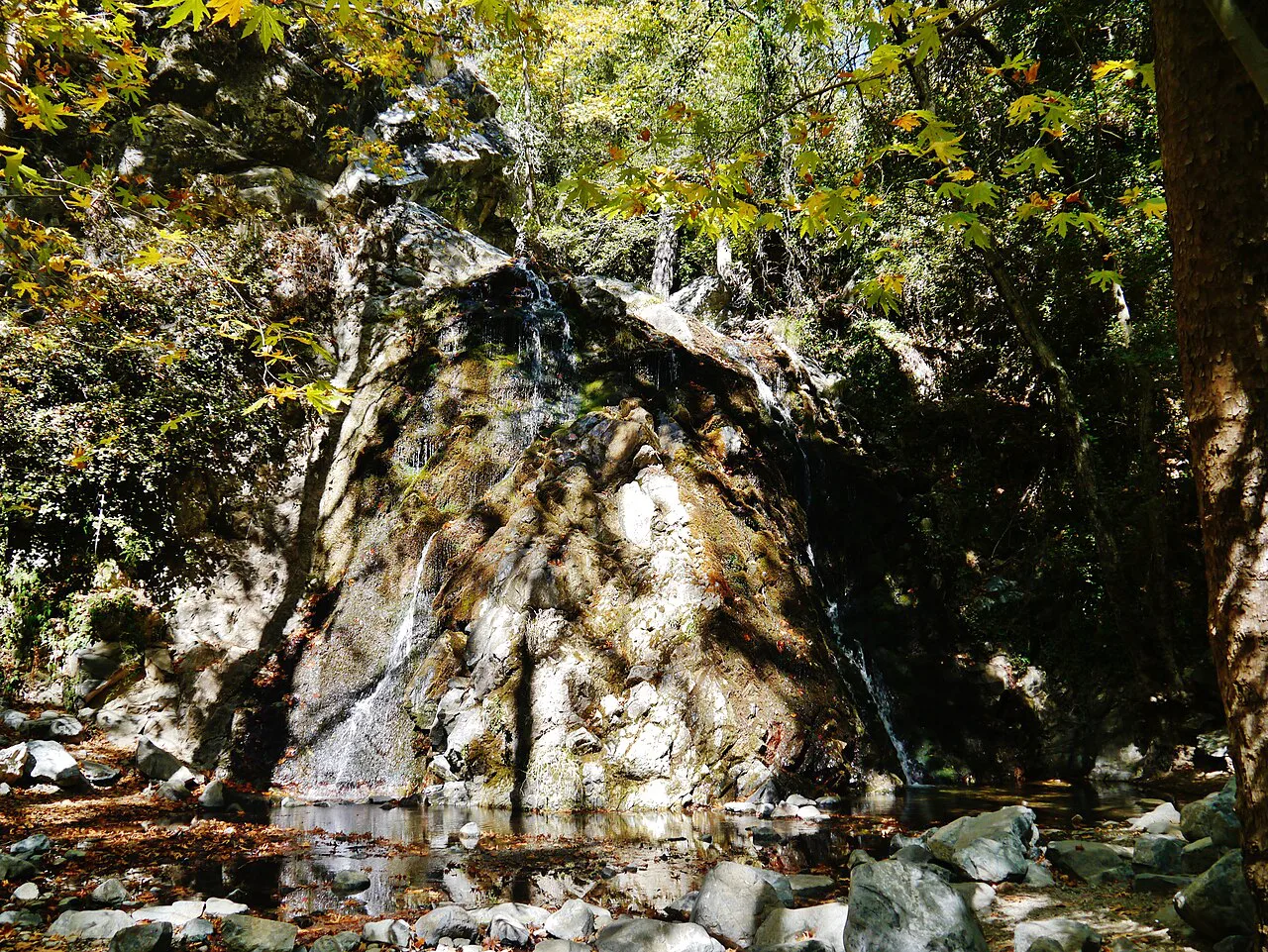 Rocks and trees at the Chantara Waterfalls, near Platres.