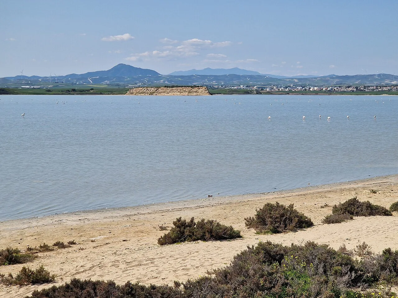 Larnaca Salt Lake with mountains beyond.