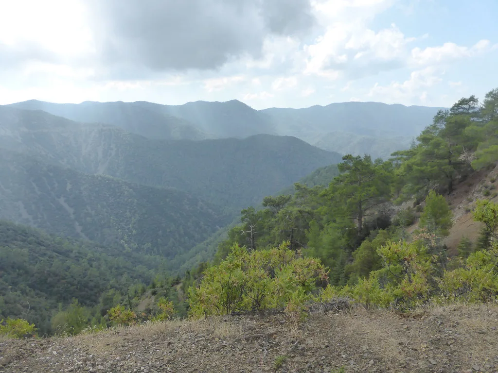 A mountain road in the Troodos Mountains.