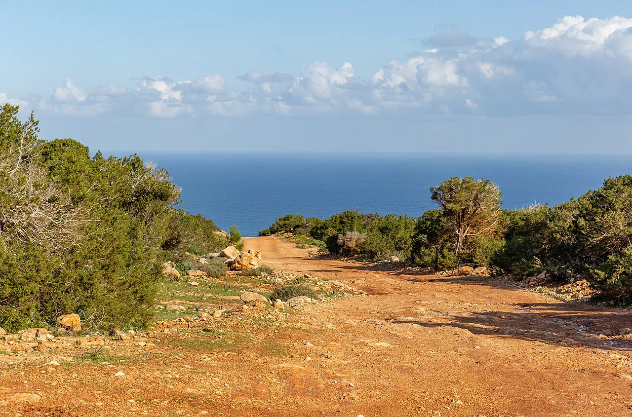 A road on the Akamas Peninsula.