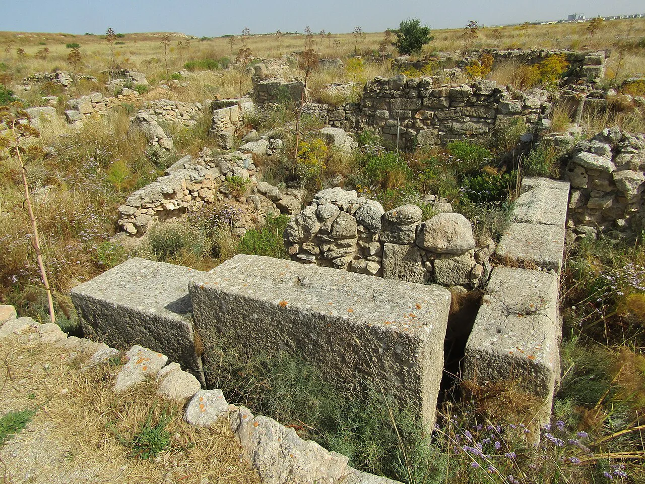Wall foundations at the Enkomi archaeological site.