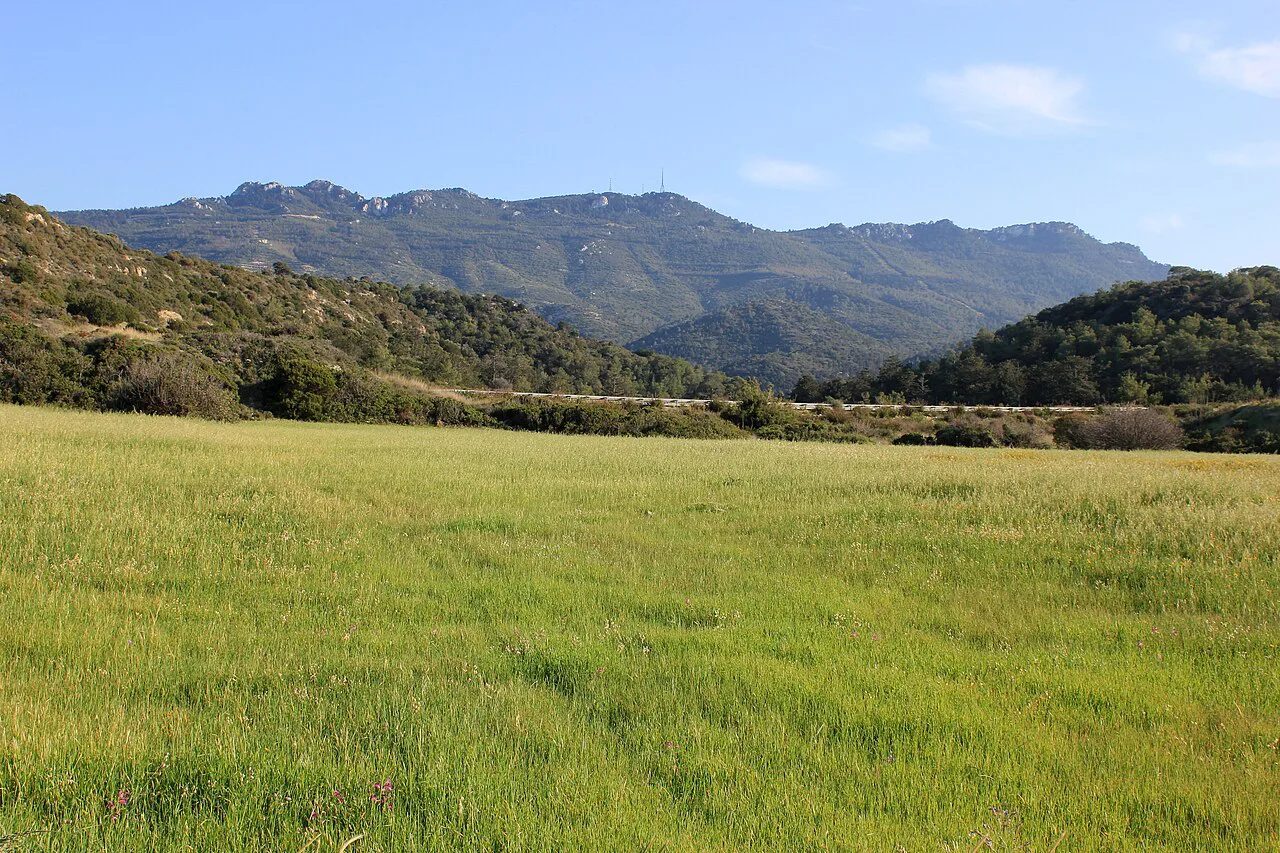 Meadow below the Kyrenia Mountains.