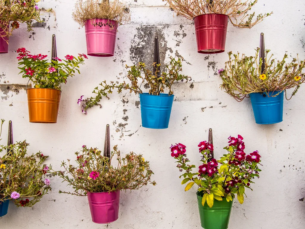 Flower pots on a whitewashed wall in Larnaca.