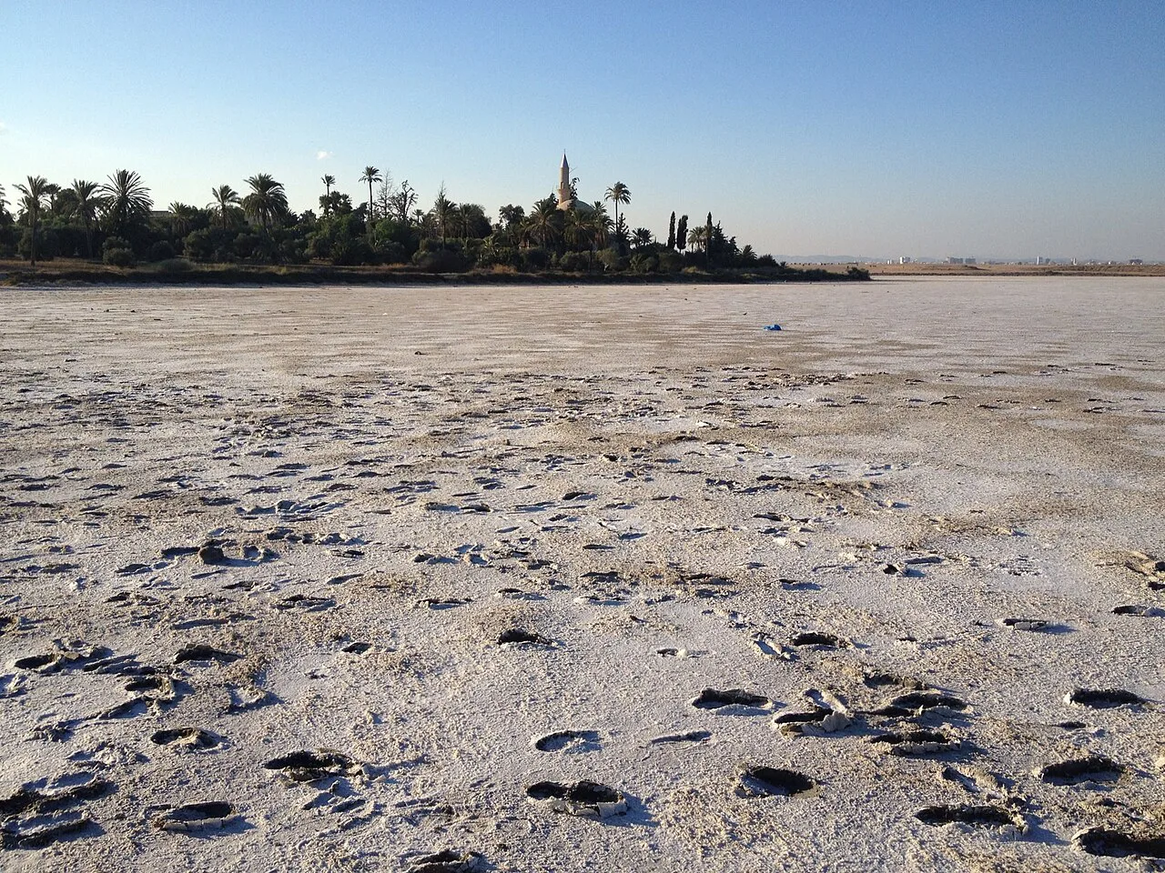 The salt-crusted shore of Larnaca Salt Lake.