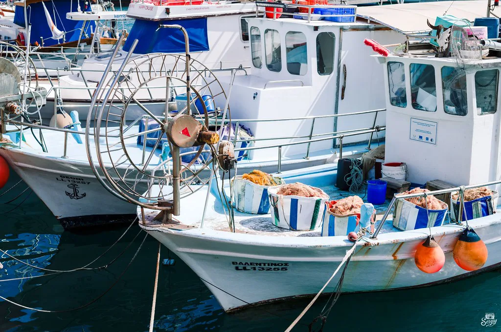Fishing boats in the old port, Limassol.
