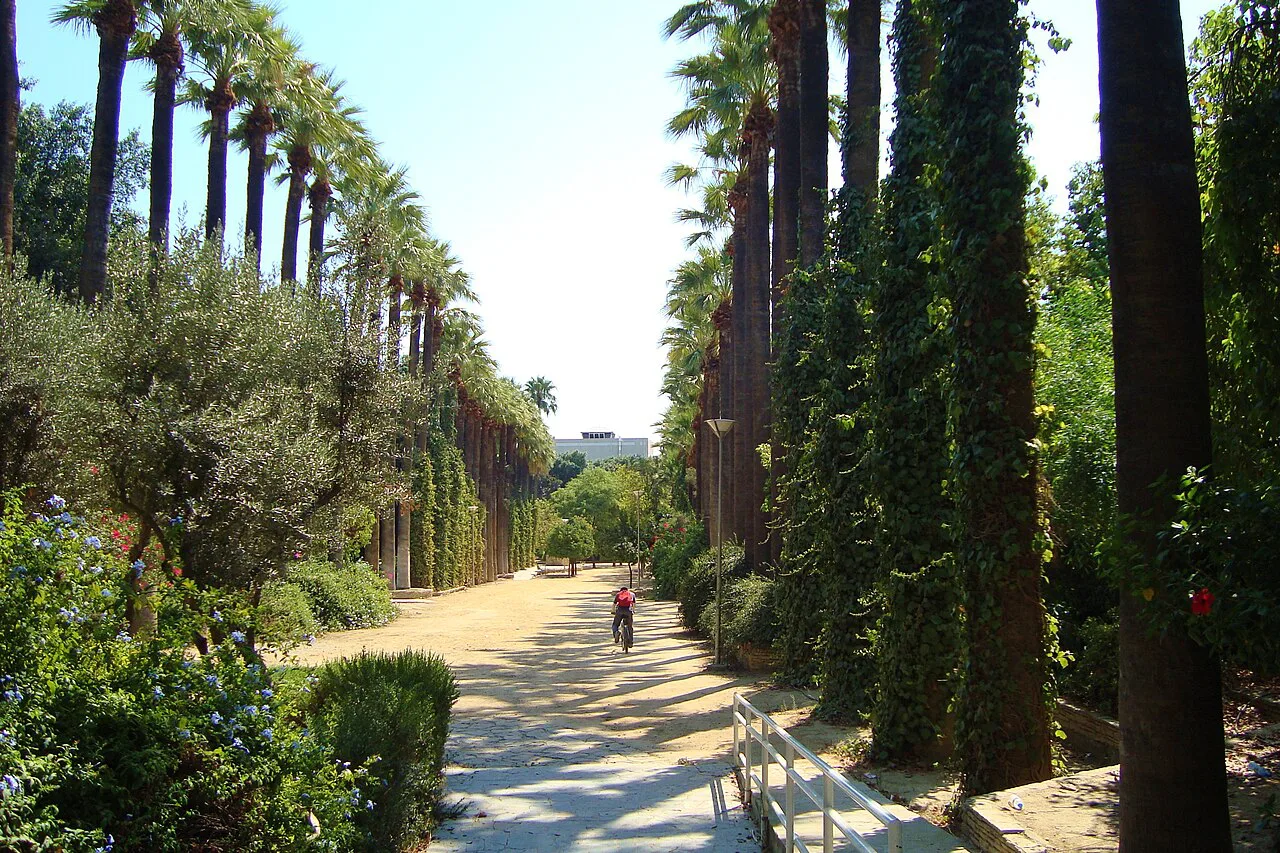 Palm-lined path in the Municipal Gardens, Nicosia.
