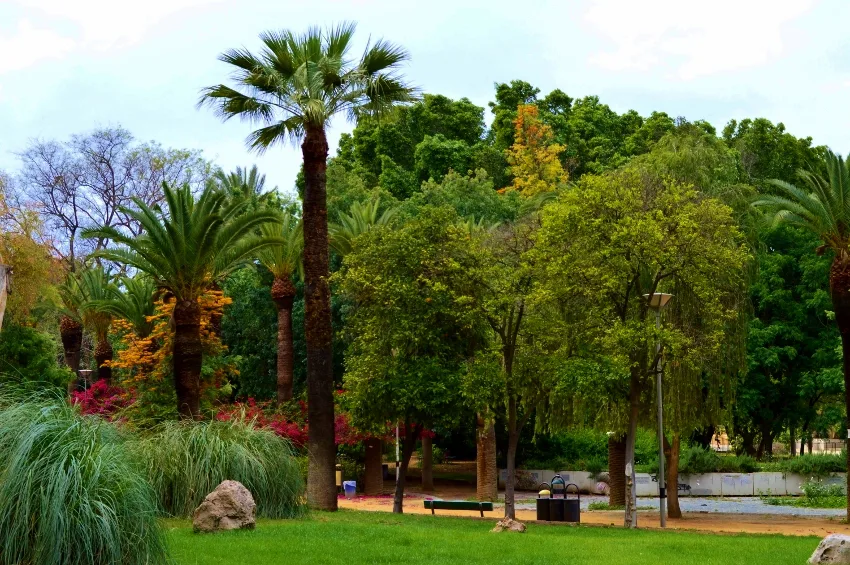 Colourful planting in the Municipal Gardens, Nicosia.