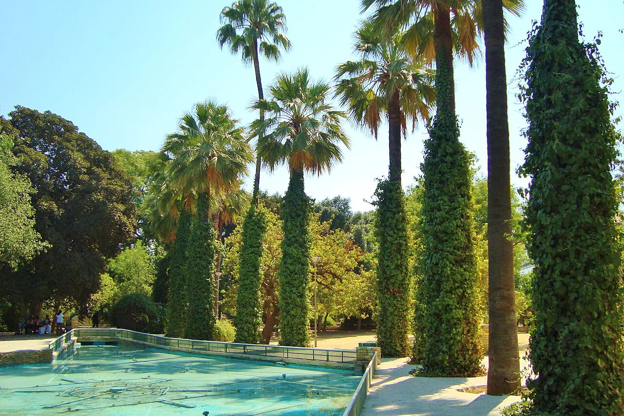 Fountain and palms in the Municipal Gardens, Nicosia.