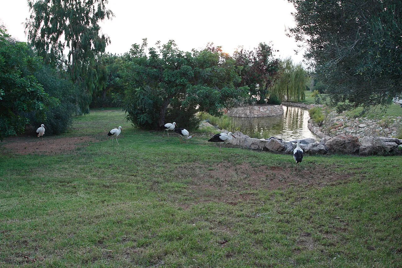 Grounds at Paphos Zoo.