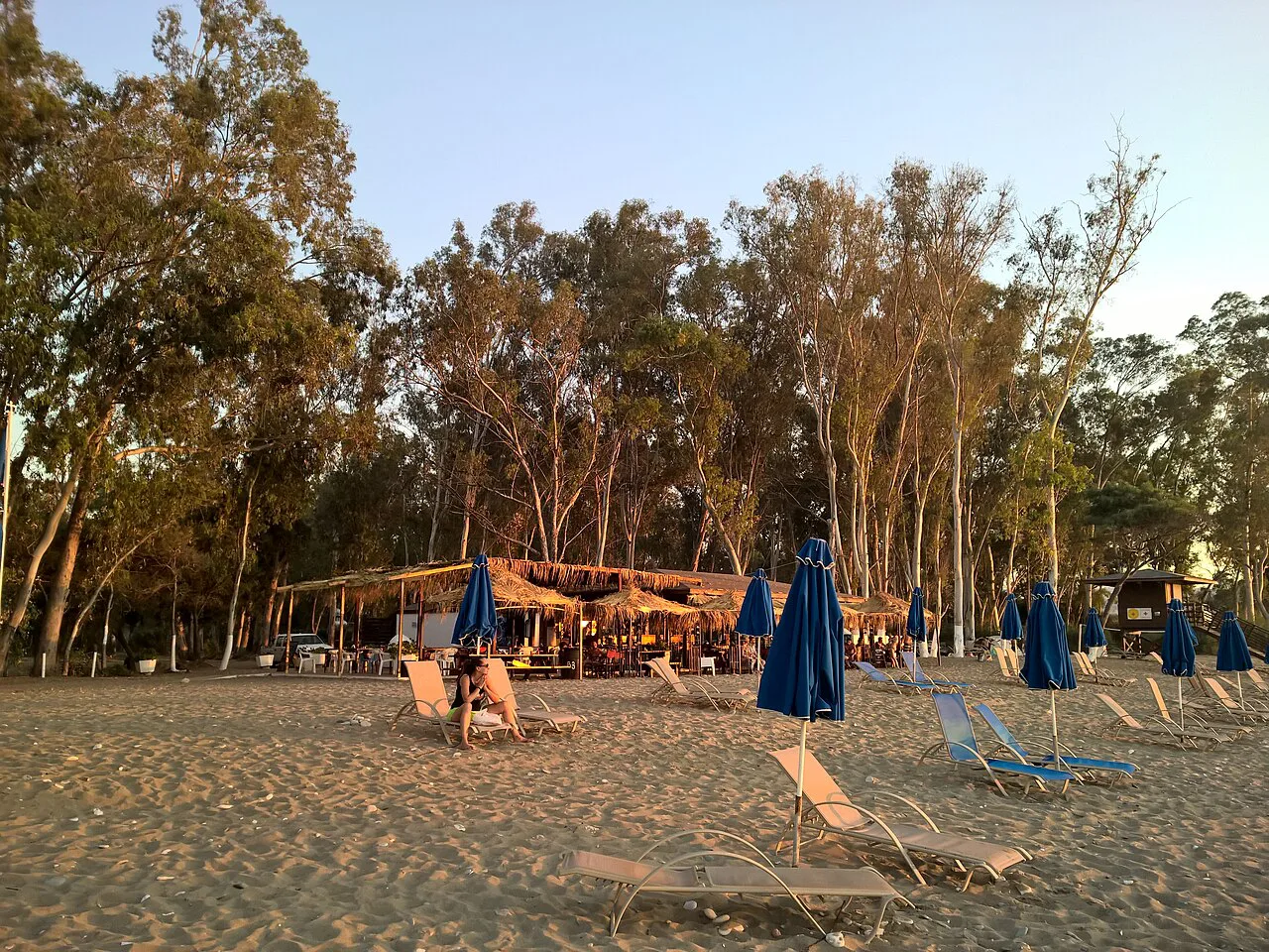Forest camping beach, Polis Chrysochous.