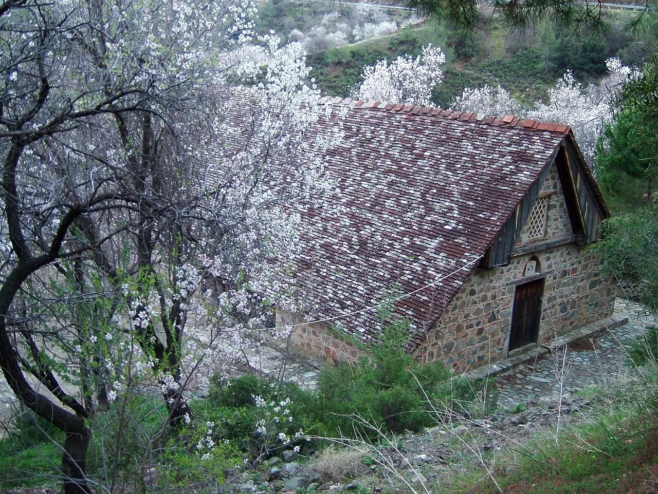 Church of Stavros tou Agiasmati among almond blossom.