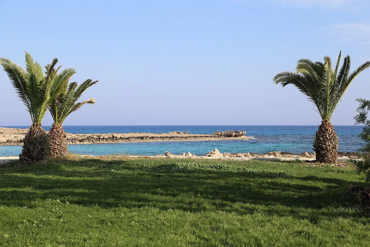 Palms and lawn beside the sea at Nissi Beach, Ayia Napa.