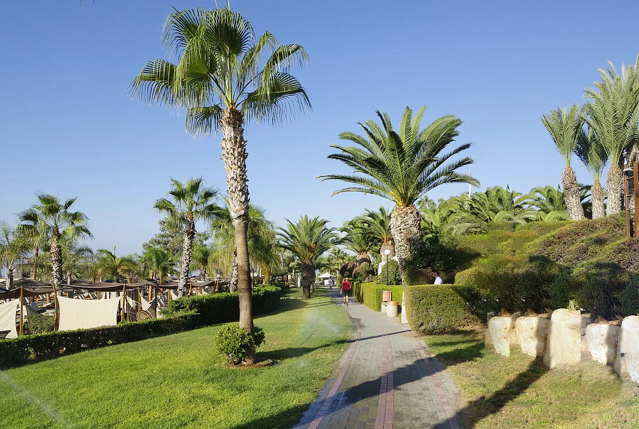 Park path with palm trees, Limassol.