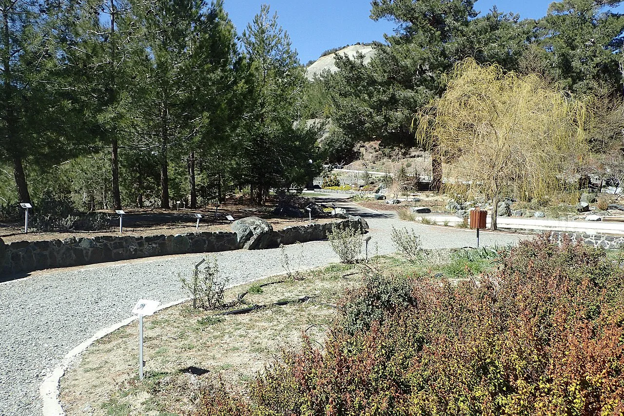 Path through Troodos Botanical Garden.