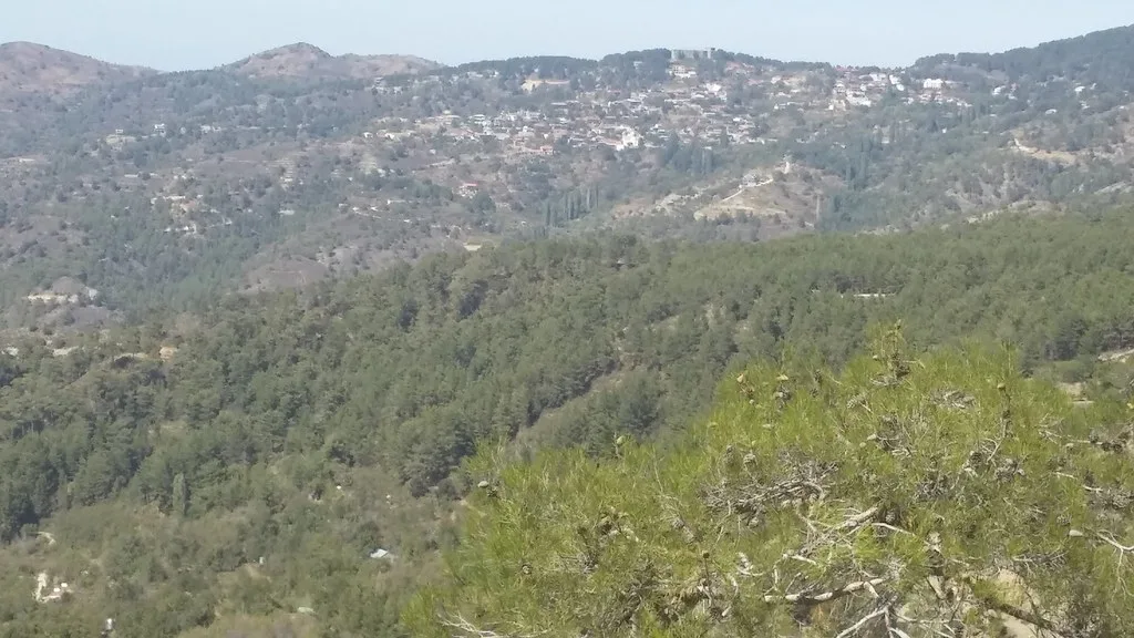 Wooded hillsides in the Troodos Mountains.