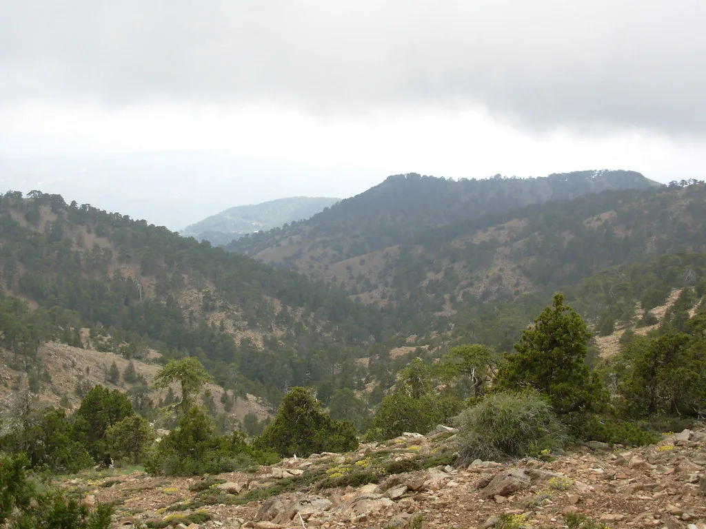 Landscape along the Artemis Trail, Troodos.
