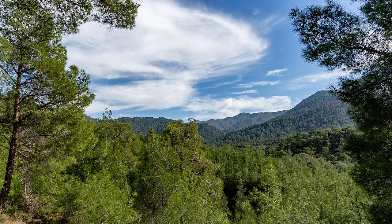 Forest and mountain view in the Troodos Mountains.
